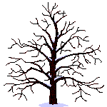 gif-arbre-4-couleurs.gif