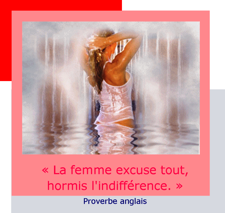 Ni La Passion Ni L'indifférence 7 Lettres